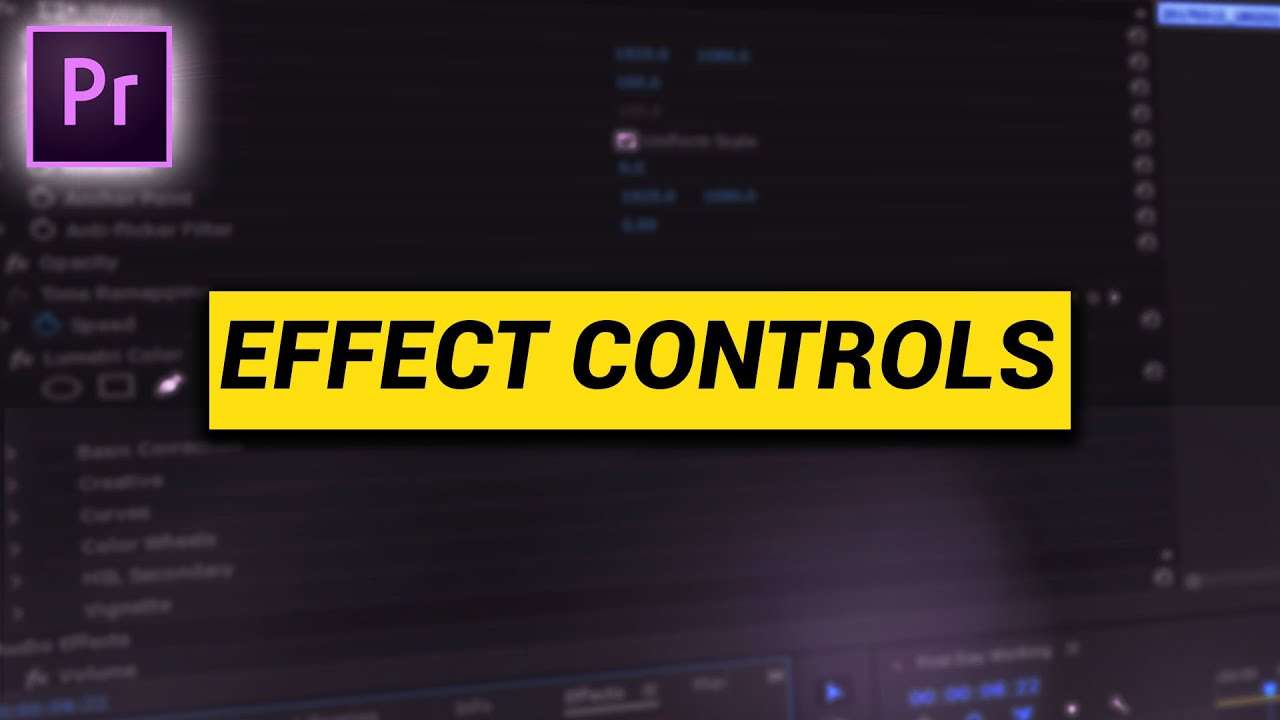 Effect Controls in Premiere Pro - Cinecom